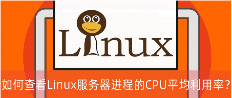 查看Linux服務器進程的CPU平均利用率？